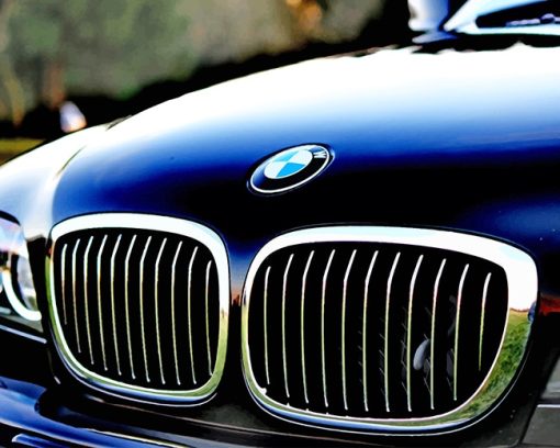 Chrome Bmw Grille Paint By Numbers