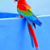 Colorful Parrots Paint By Numbers