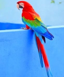 Colorful Parrots Paint By Numbers