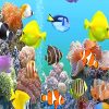 Fishes Deep Sea Paint By Numbers