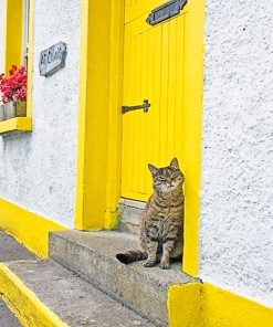 kitty Yellow Door Paint By Numbers