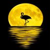 Flamingo Silhouette Moon Paint By Numbers