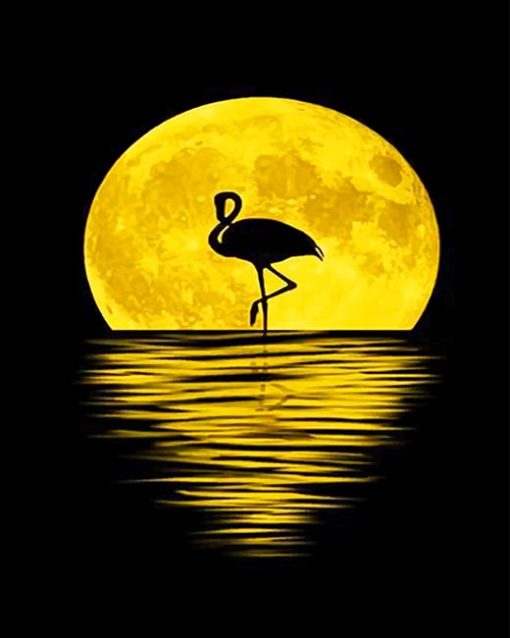 Flamingo Silhouette Moon Paint By Numbers