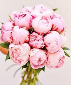 Bouquet Pink Peony Paint By Numbers