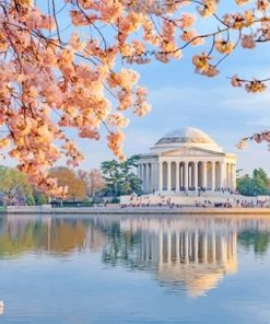 Jefferson Memorial Paint By Numbers