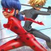 Ladybug And Cat Noir Paint By Numbers