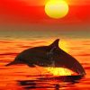 Dolphin Sunset Paint By Numbers