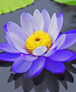 Purple Lotus Flower Paint By Numbers