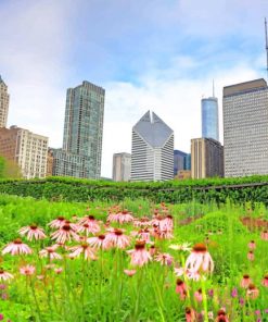 Millennium Park Chicago Paint By Numbers