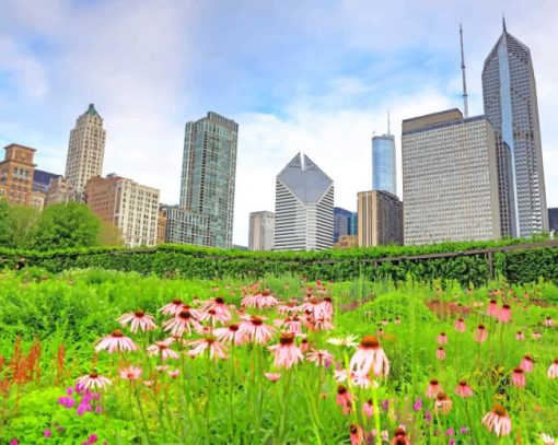 Millennium Park Chicago Paint By Numbers