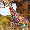 Rainbow Giraffe Paint By Numbers