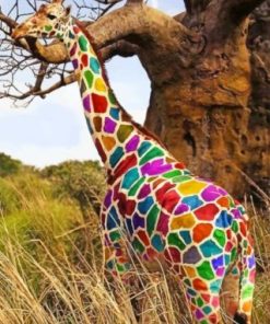 Rainbow Giraffe Paint By Numbers