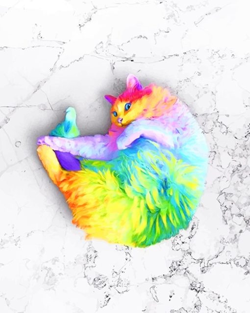 Rainbow Cat Paint By Numbers