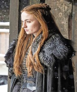 Sansa Stark Paint By Numbers