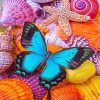 Seashells Blue Butterfly Paint By Numbers