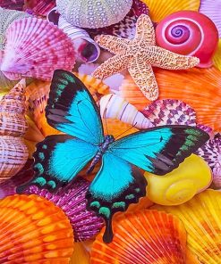 Seashells Blue Butterfly Paint By Numbers