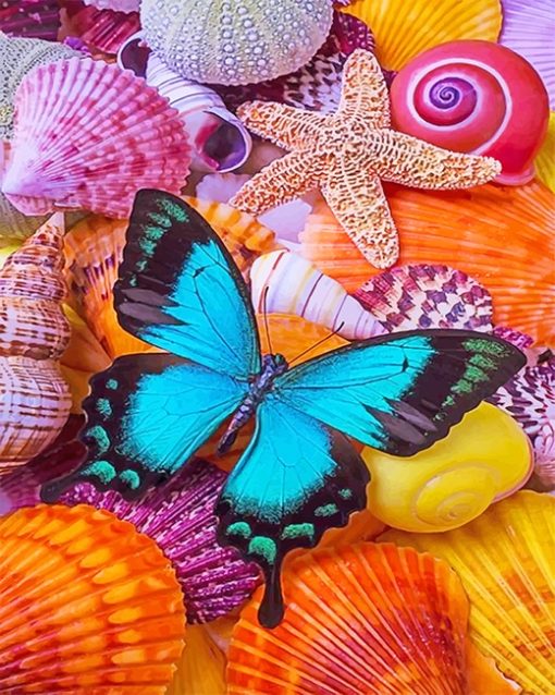 Seashells Blue Butterfly Paint By Numbers