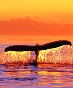 Sunset Whale Fluke Paint By Numbers