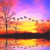 Waterfowl Sunset Paint By Numbers