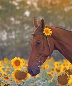 Brown Horse Paint By Numbers