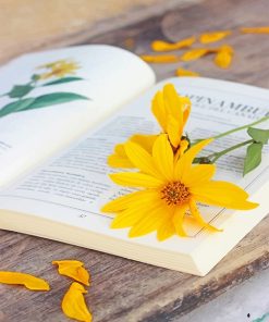 Book And Flower Paint By Numbers