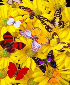 Butterflies Yellow Flowers Paint By Numbers