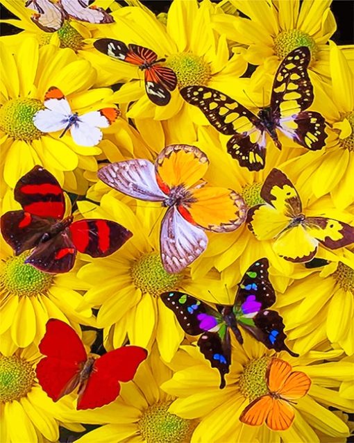 Butterflies Yellow Flowers Paint By Numbers