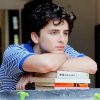 Classy Timothee Chalamet Paint By Numbers