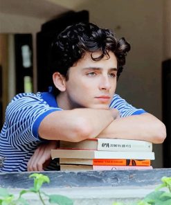 Classy Timothee Chalamet Paint By Numbers