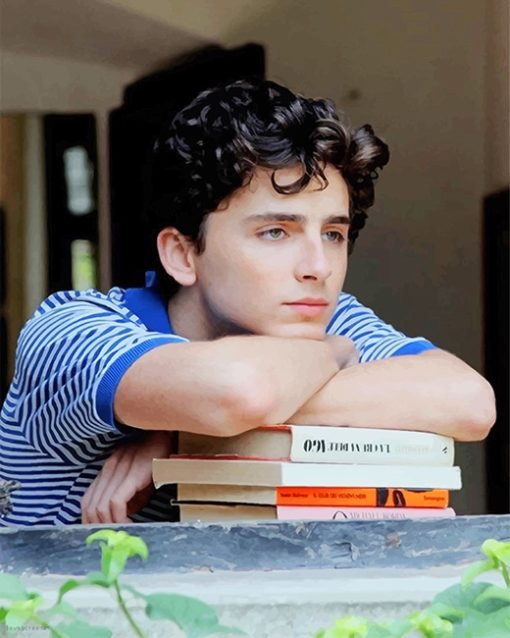 Classy Timothee Chalamet Paint By Numbers