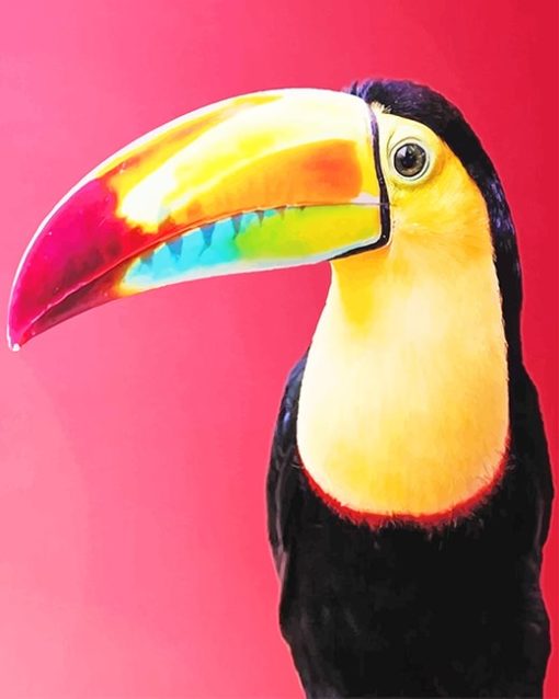 Colorful Toucans Paint By Numbers