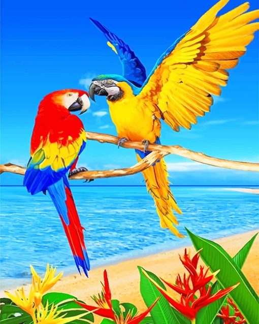 Colorful Parrots Paint By Numbers