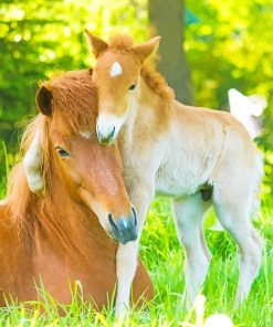 Family Horses Paint By Numbers