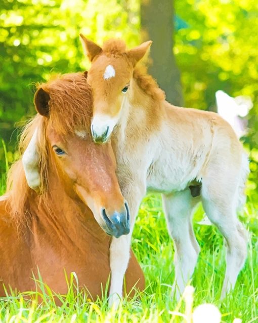 Family Horses Paint By Numbers