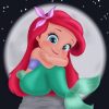 Little Ariel Paint By Numbers