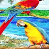 Parrots Paint By Numbers