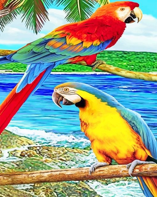 Parrots Paint By Numbers