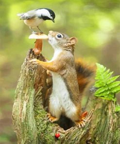 Squirrel And Bird Paint By Numbers