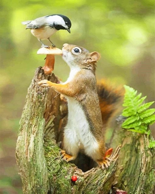 Squirrel And Bird Paint By Numbers