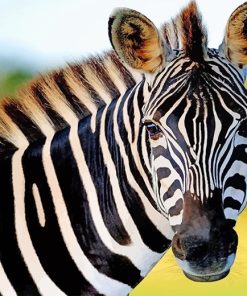 Zebra Paint By Numbers