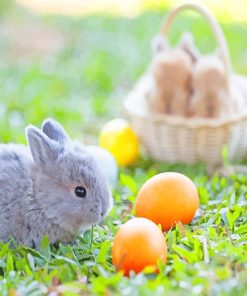 Easter Eggs Bunny Paint By Numbers