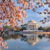 Jefferson Memorial Washington Paint By Numbers