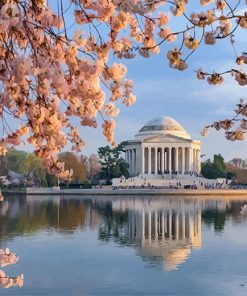 Jefferson Memorial Washington Paint By Numbers