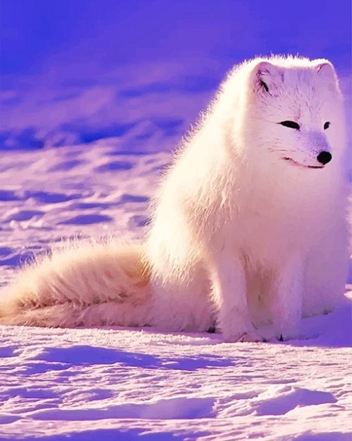 Lovely Arctic Fox Paint By Numbers