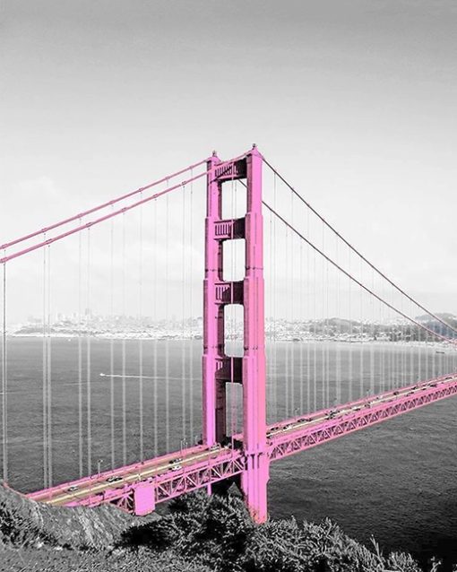 Pink Golden Gate Paint By Numbers