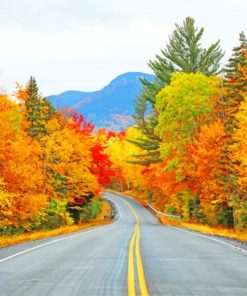 Road Autumn Trees Paint By Numbers