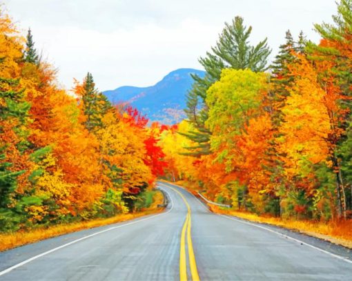 Road Autumn Trees Paint By Numbers