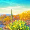 Saguaro National Park Paint By Numbers