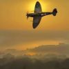 Spitfire Sunset Paint By Numbers