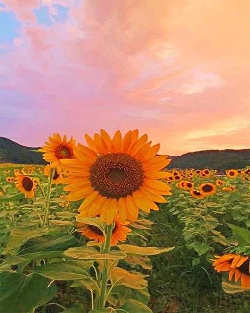 Sunflowers Paint By Numbers